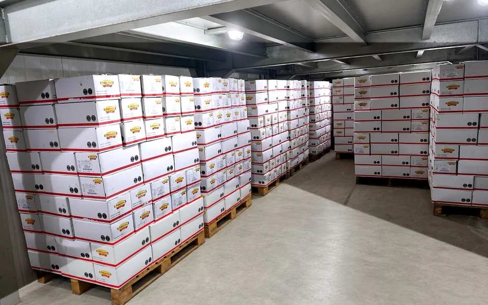 Lorong gudang SMJL Jakarta dengan palet karton kurma siap disalurkan