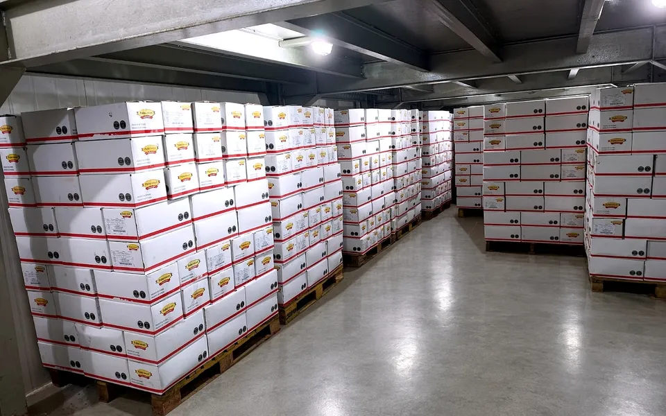 Lorong gudang SMJL Jakarta dengan palet karton kurma siap disalurkan